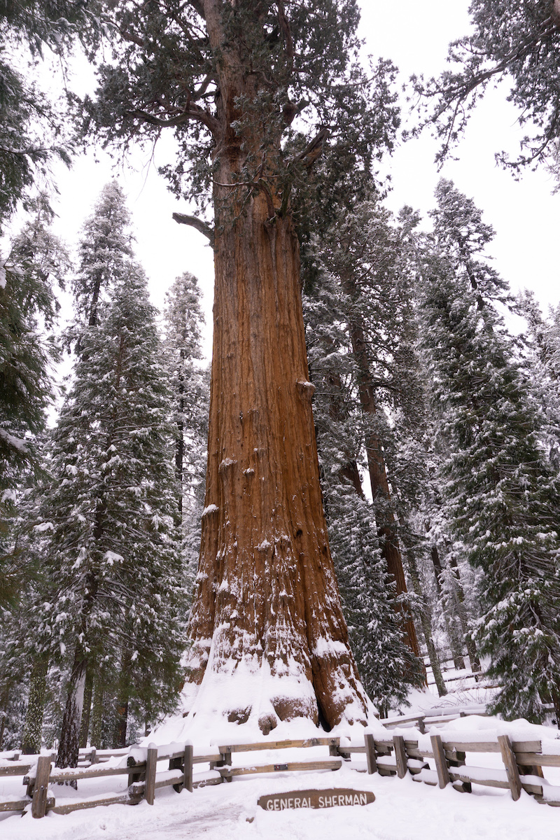 7 mejores caminatas en el Parque Nacional Sequoia según una guía experimentada - 155