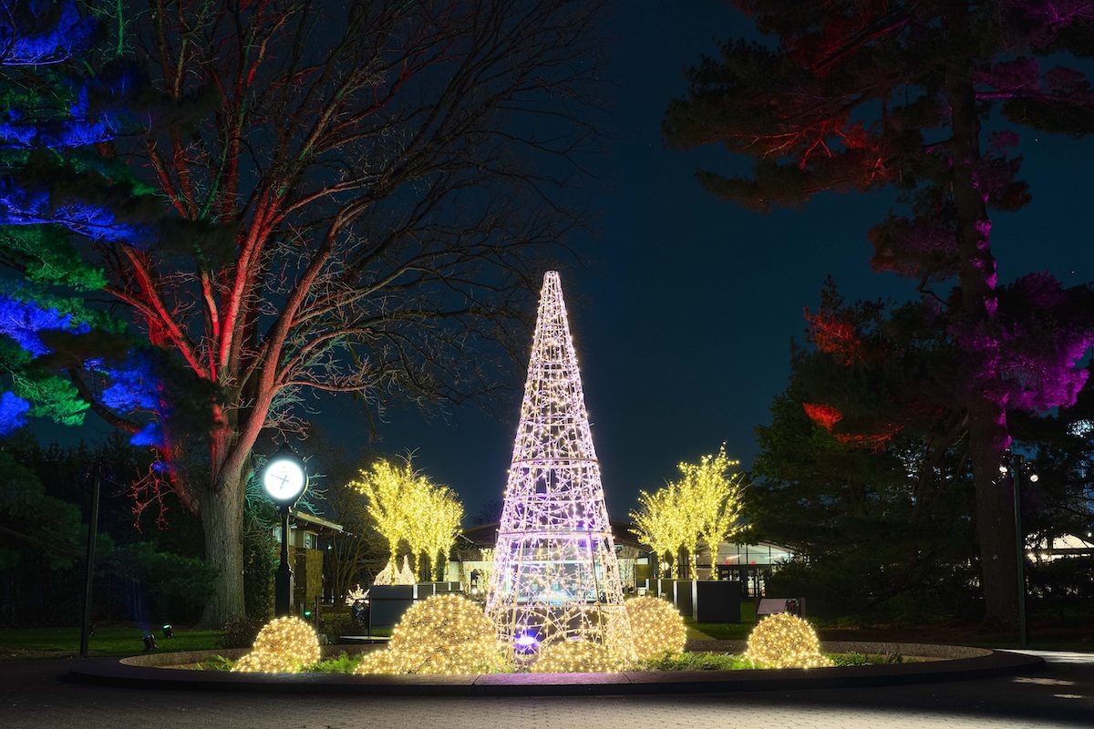 Las mejores luces navideñas del jardín botánico en los EE. UU. - 7