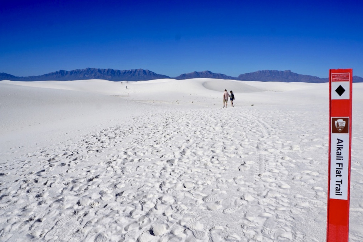 7 cosas que debe saber sobre el Parque Nacional White Sands - 17