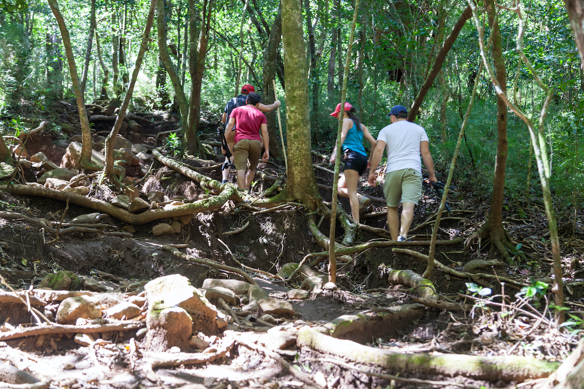 11 experiencias fabulosas en el hermoso tamarindo, Costa Rica - 13