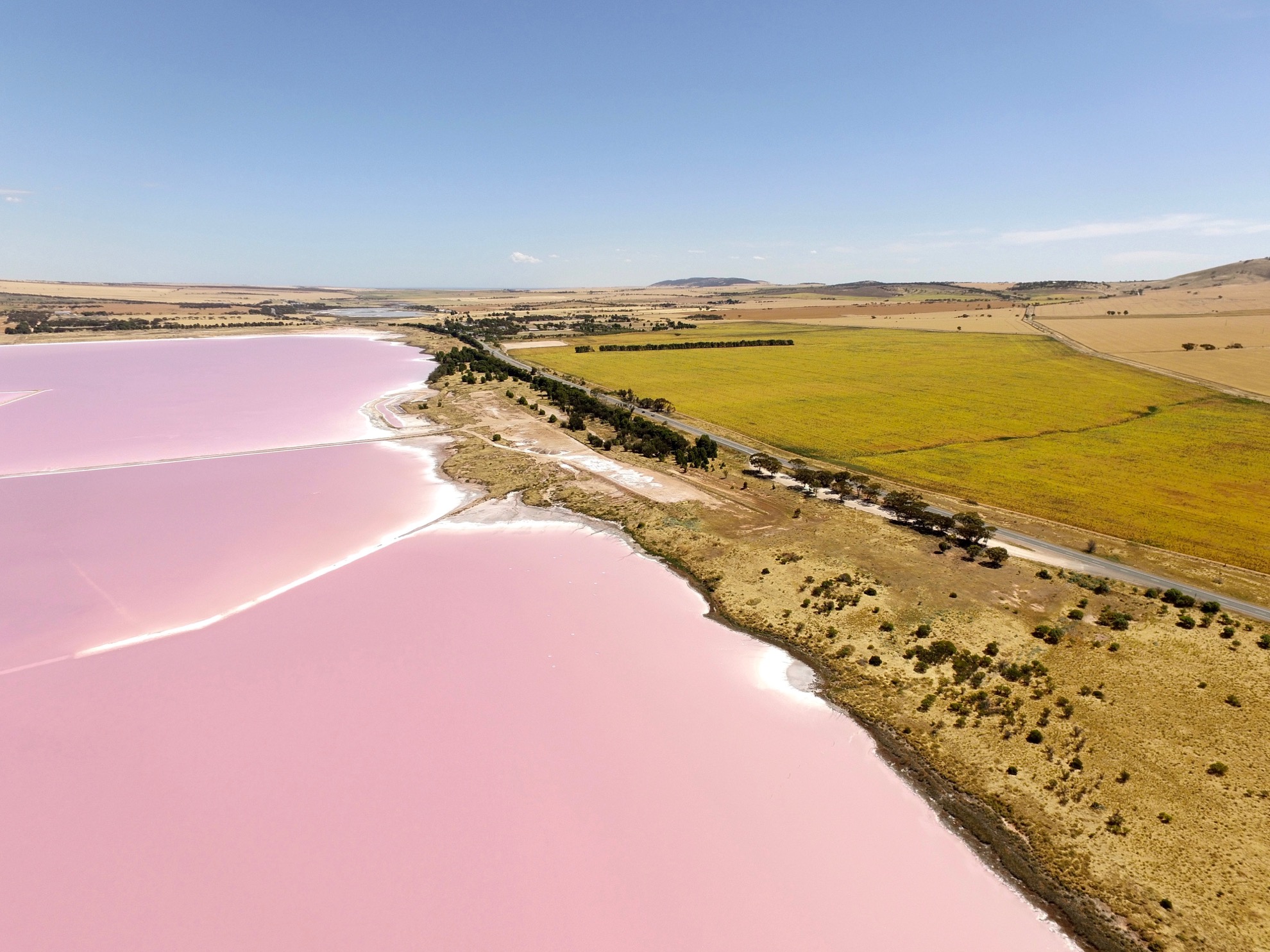 Cómo ver el increíble lago Pink Bubblegum Pink de Australia - 11