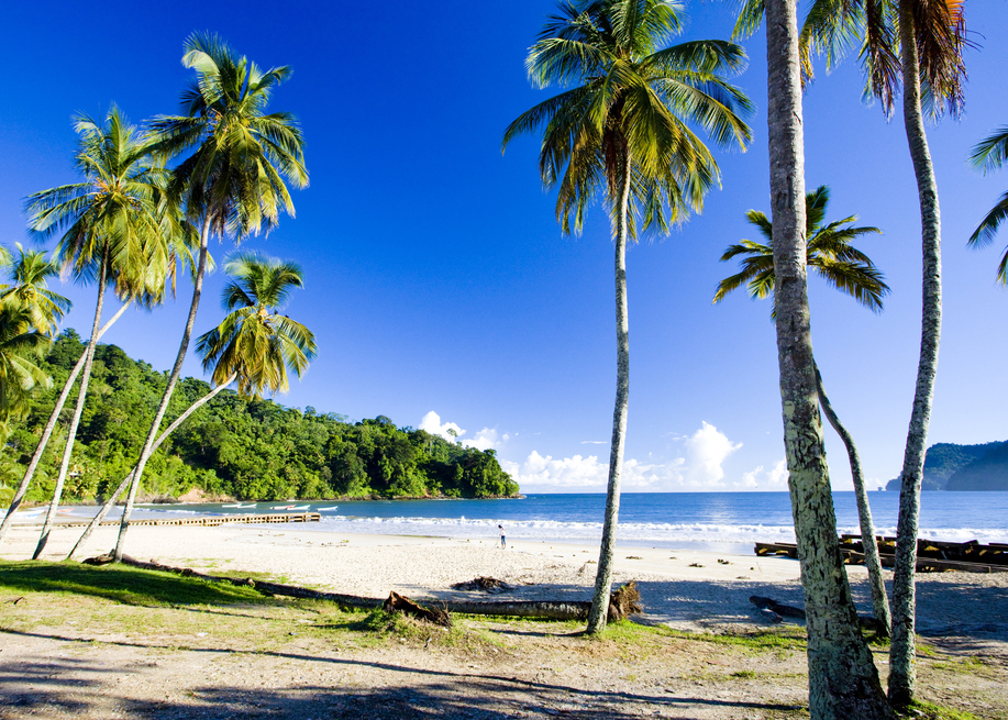 Las 10 mejores playas del Caribe para un escape relajante - 9