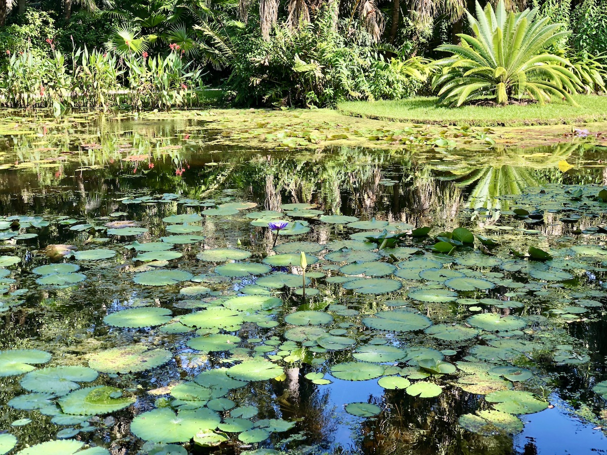 8 hermosos jardines para visitar en Florida - 9