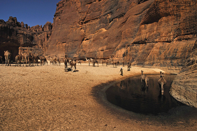 Guelta d’Archei: La joya escondida del Sahara - 9