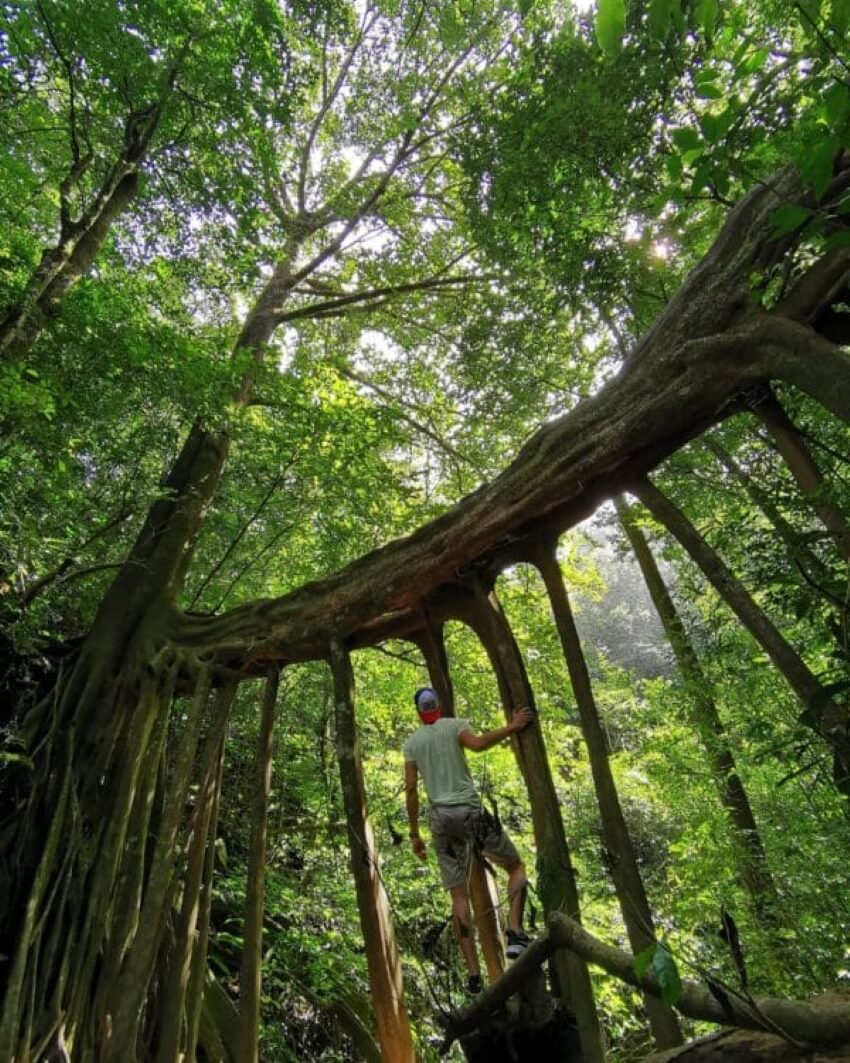 Itinerario de Costa Rica de una semana: ver y explorarlo todo - 17