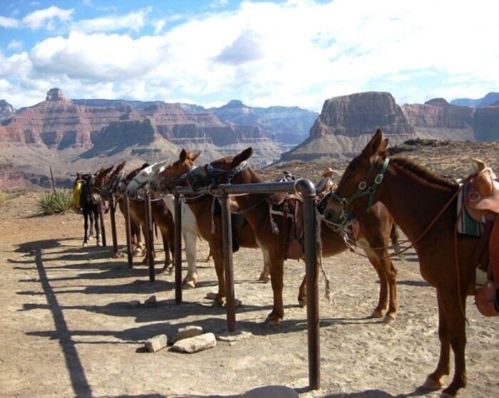 El itinerario de Grand Canyon definitivo - 41