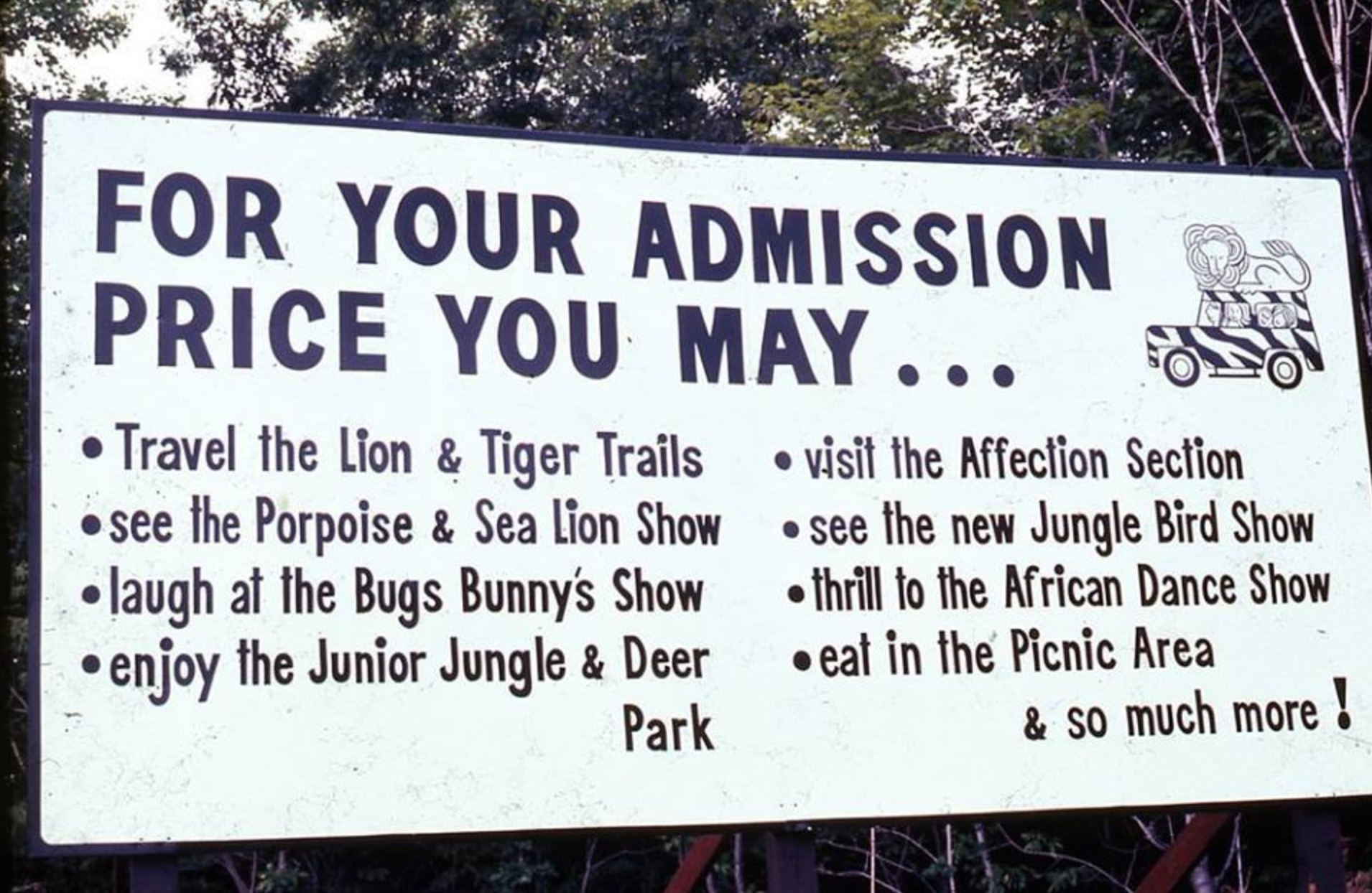 El parque de animales abandonado de Warner Brothers: la historia del hábitat de la jungla - 13