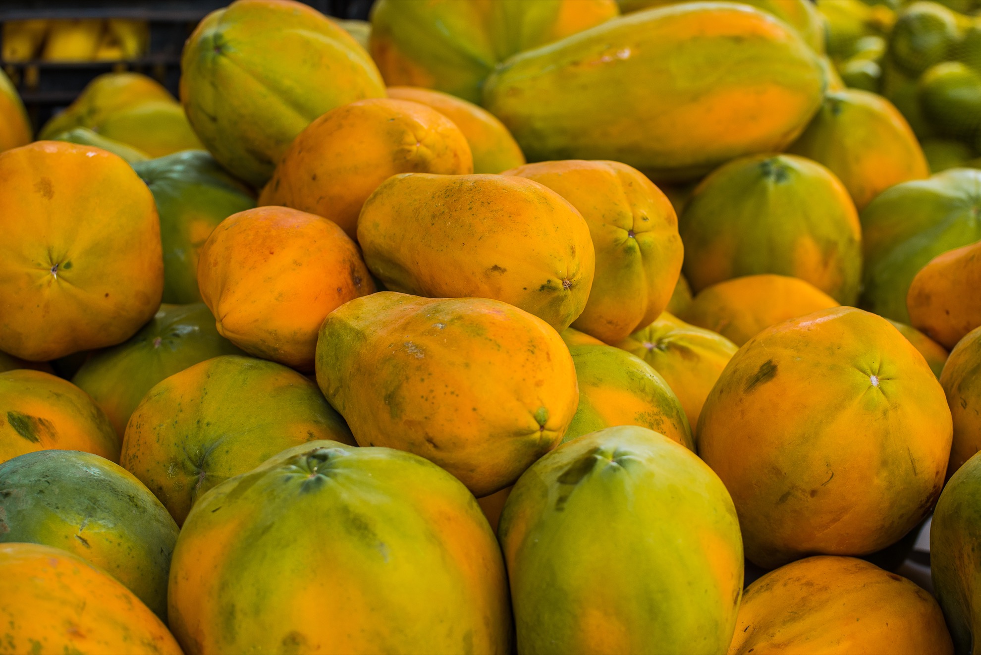 10 tipos de frutas que debes probar en Costa Rica - 9