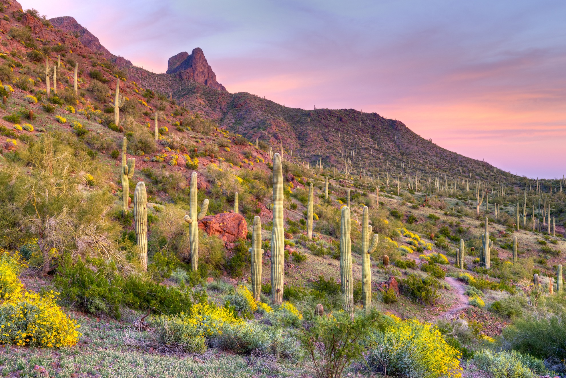 8 Parques estatales de Arizona que pertenecen a su lista de deseos - 19