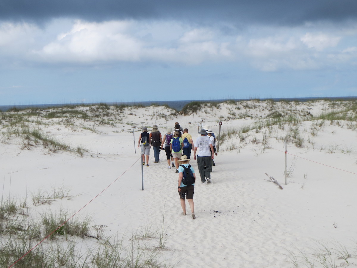 9 mejores caminatas en la costa del Golfo de EE. UU. Desde Pensacola hasta Nueva Orleans - 9
