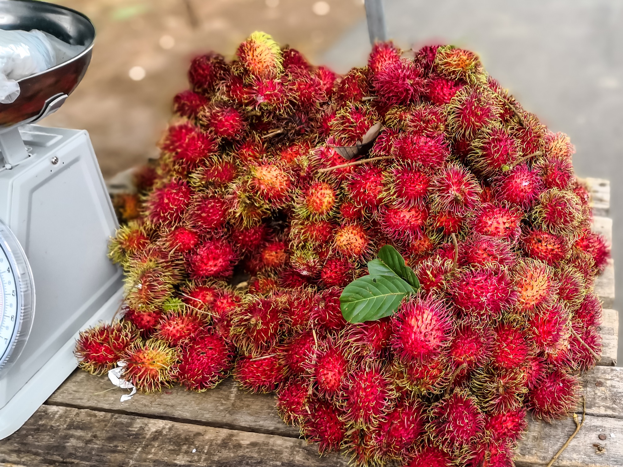 10 tipos de frutas que debes probar en Costa Rica - 11
