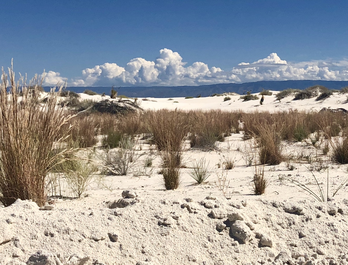 7 cosas que debe saber sobre el Parque Nacional White Sands - 15