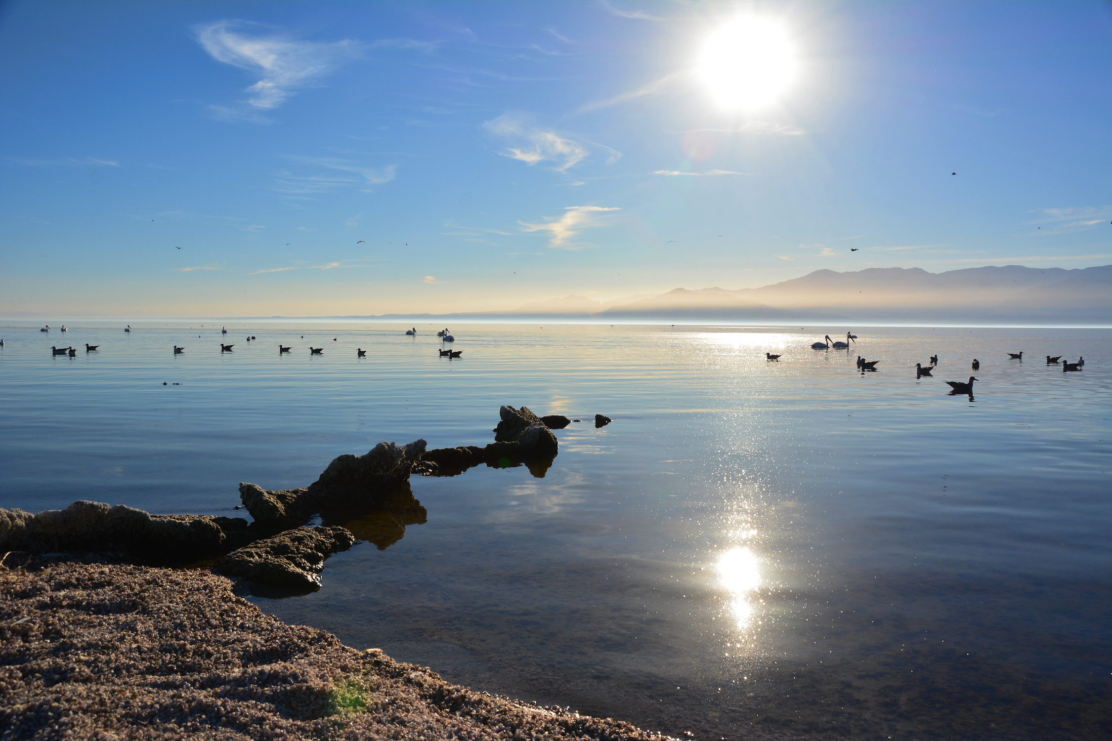 Visite el Mar de Salton, donde el agua es peligrosa, pero el senderismo es excelente - 9