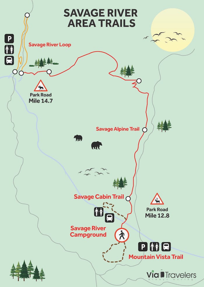 Savage River Loop Trail: Senderismo del Parque Nacional Denali - 9