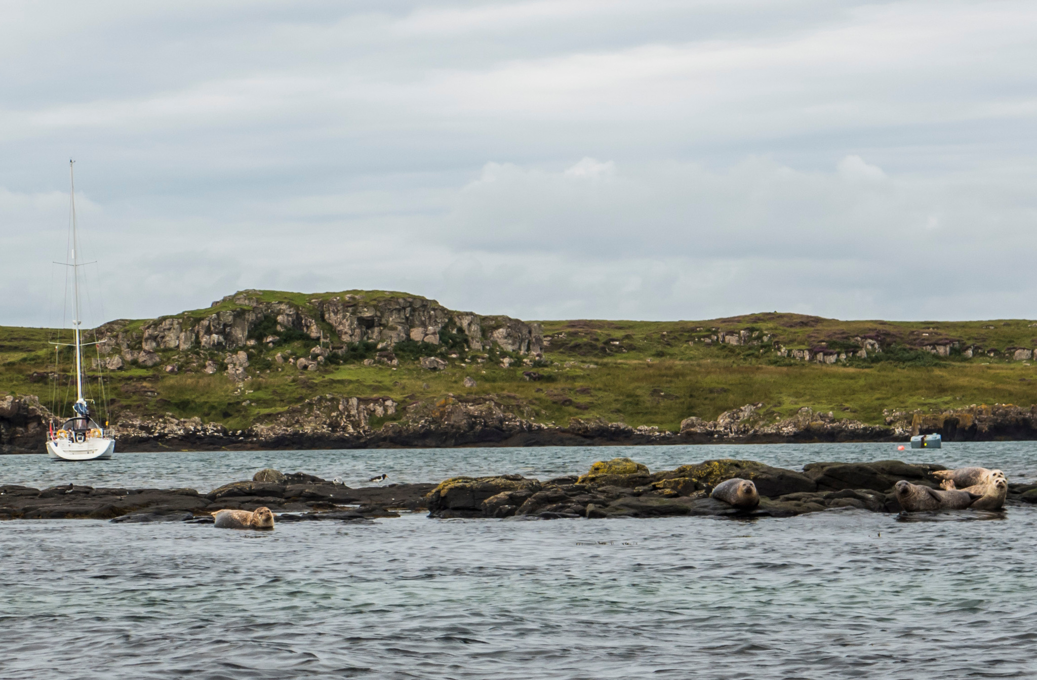 Una visita a la idílica Isla de Muck, Escocia - 13