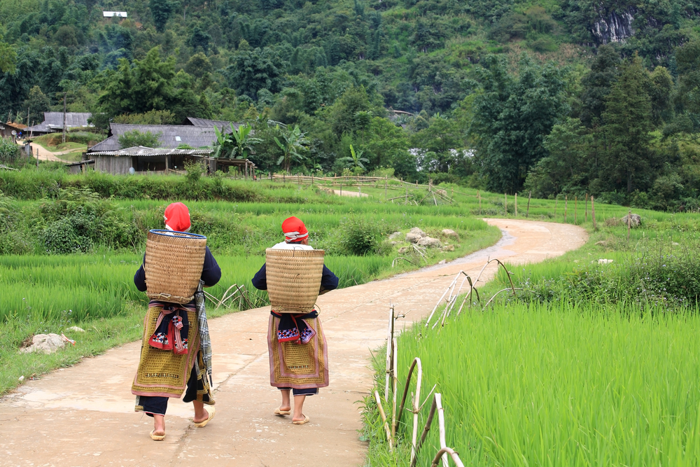 Retirarse en Vietnam: 8 cosas que saber sobre la atención médica - 9