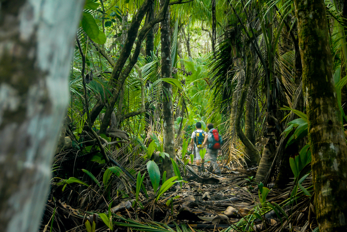 4 hermosos parques nacionales en Costa Rica para no perderse - 19