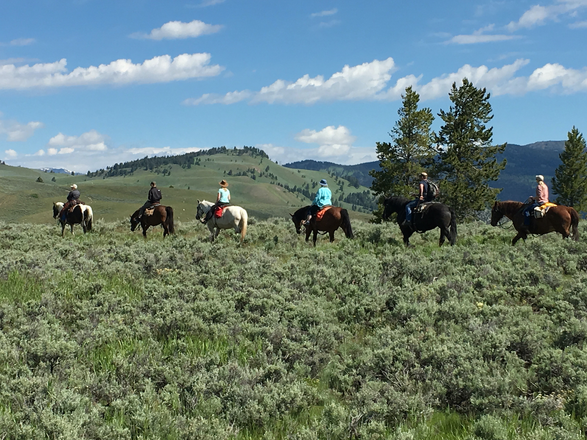 10 cosas increíbles que hacer en el Parque Nacional de Yellowstone durante el verano - 11