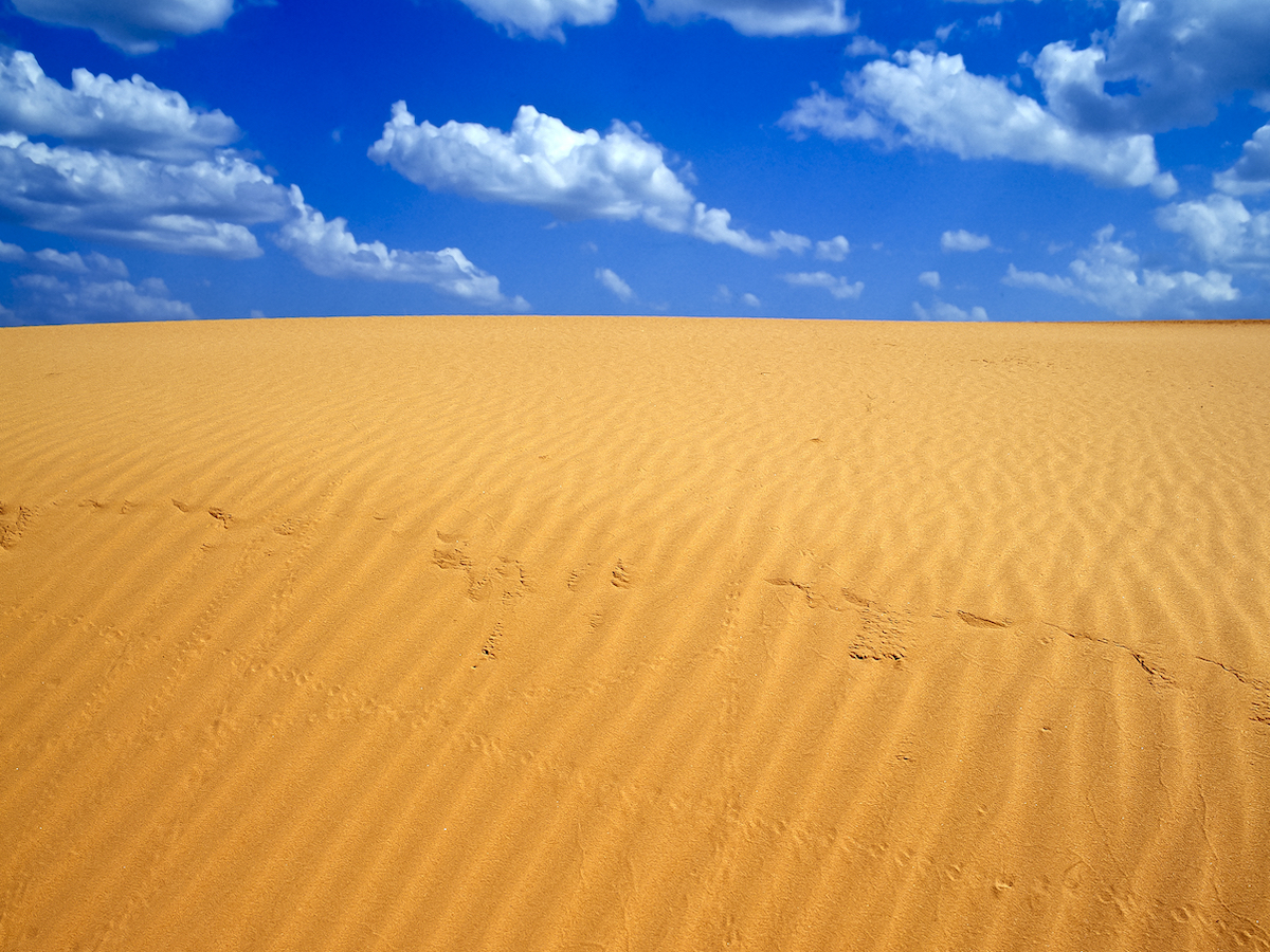 8 increíbles dunas de arena para explorar en los Estados Unidos occidentales durante el invierno - 9