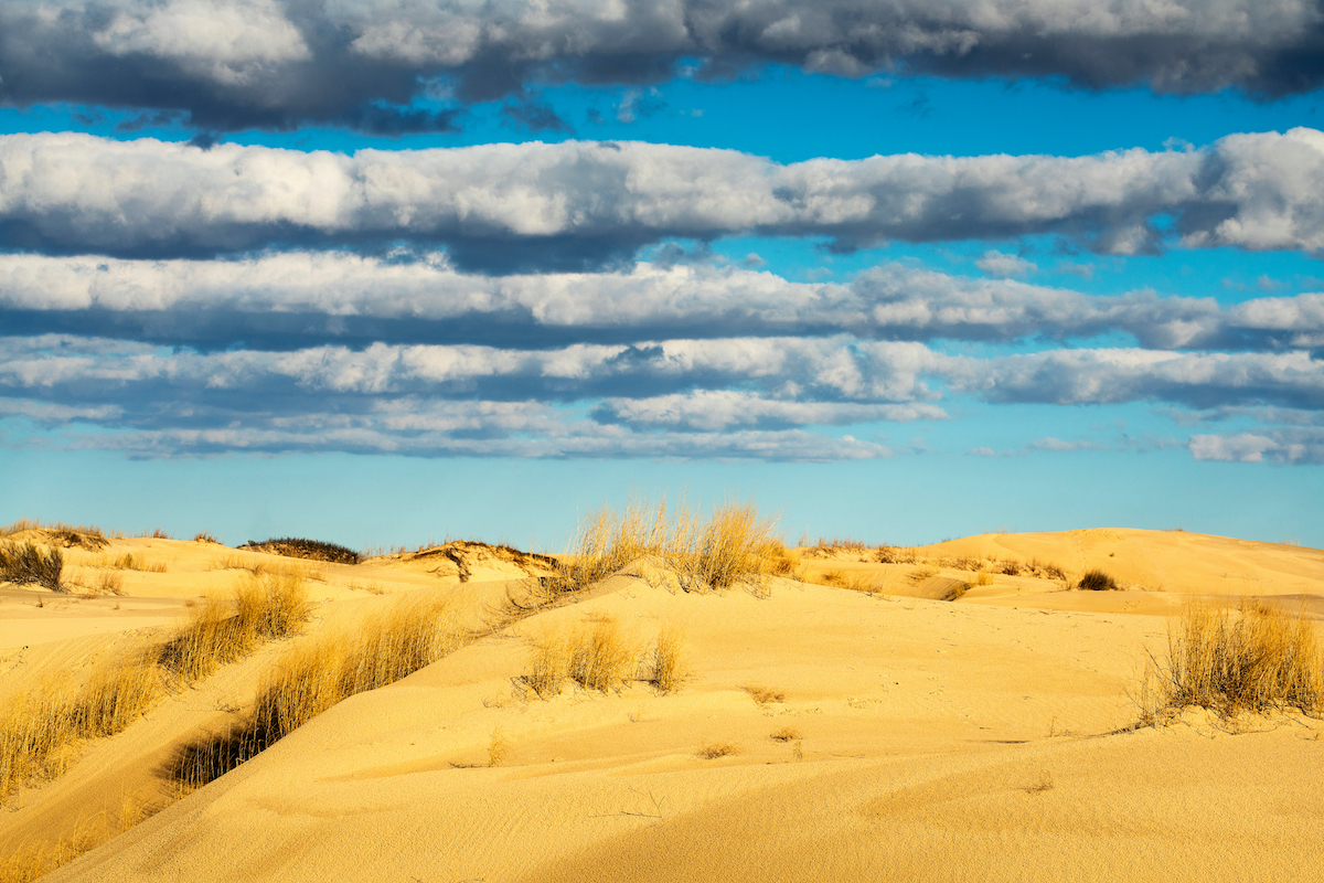 8 increíbles dunas de arena para explorar en los Estados Unidos occidentales durante el invierno - 429