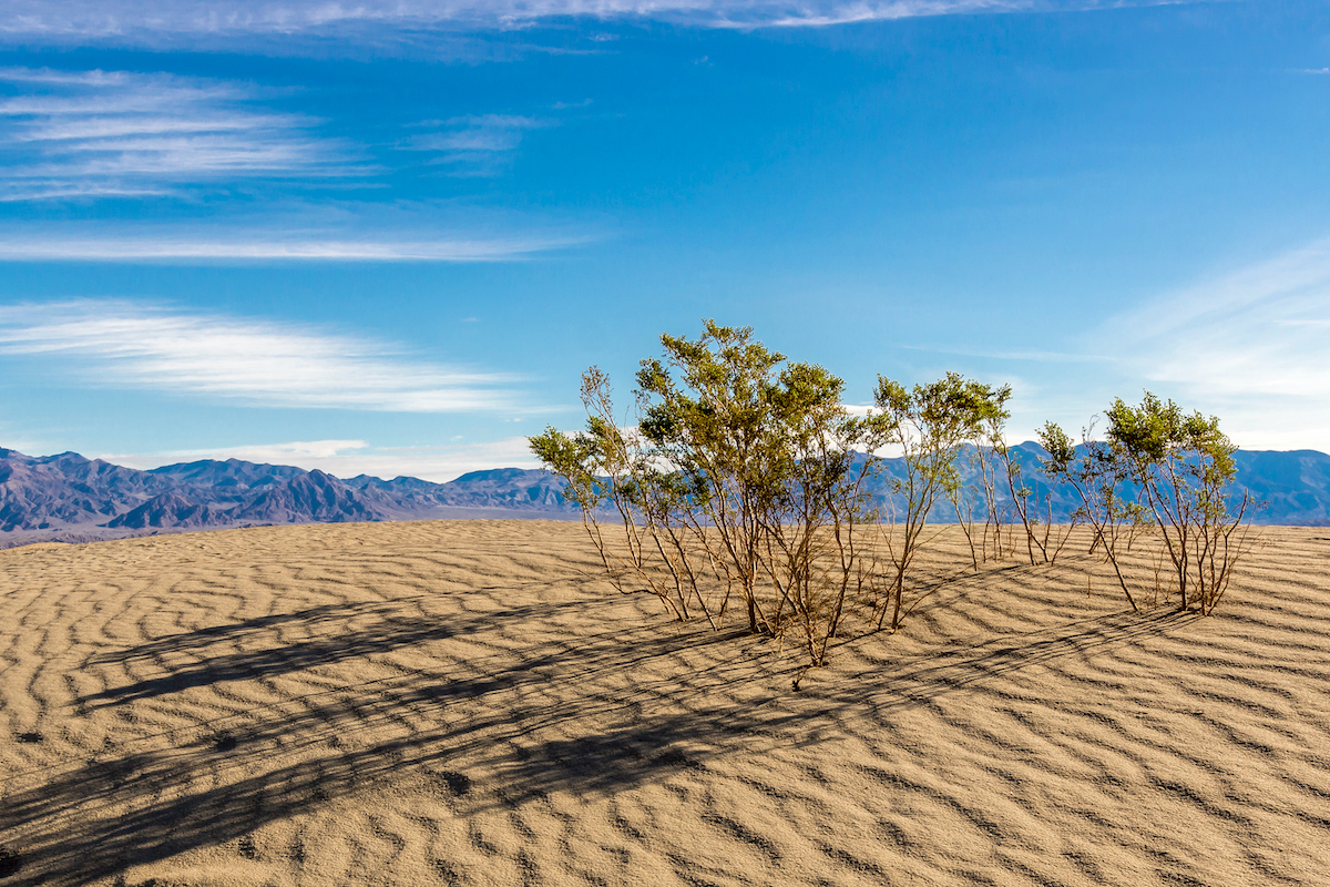 8 increíbles dunas de arena para explorar en los Estados Unidos occidentales durante el invierno - 15
