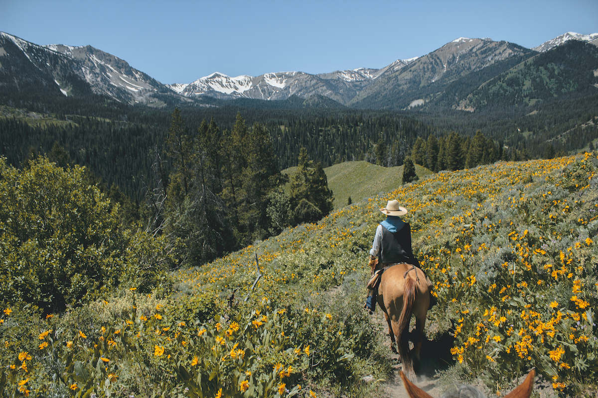 Jackson Hole, Wyoming en el verano: 8 cosas increíbles que hacer - 13