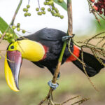 4 hermosos parques nacionales en Costa Rica para no perderse