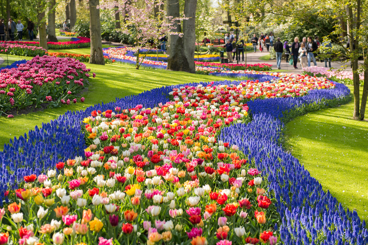 7 lugares increíbles para ver en Amsterdam en la primavera - 11