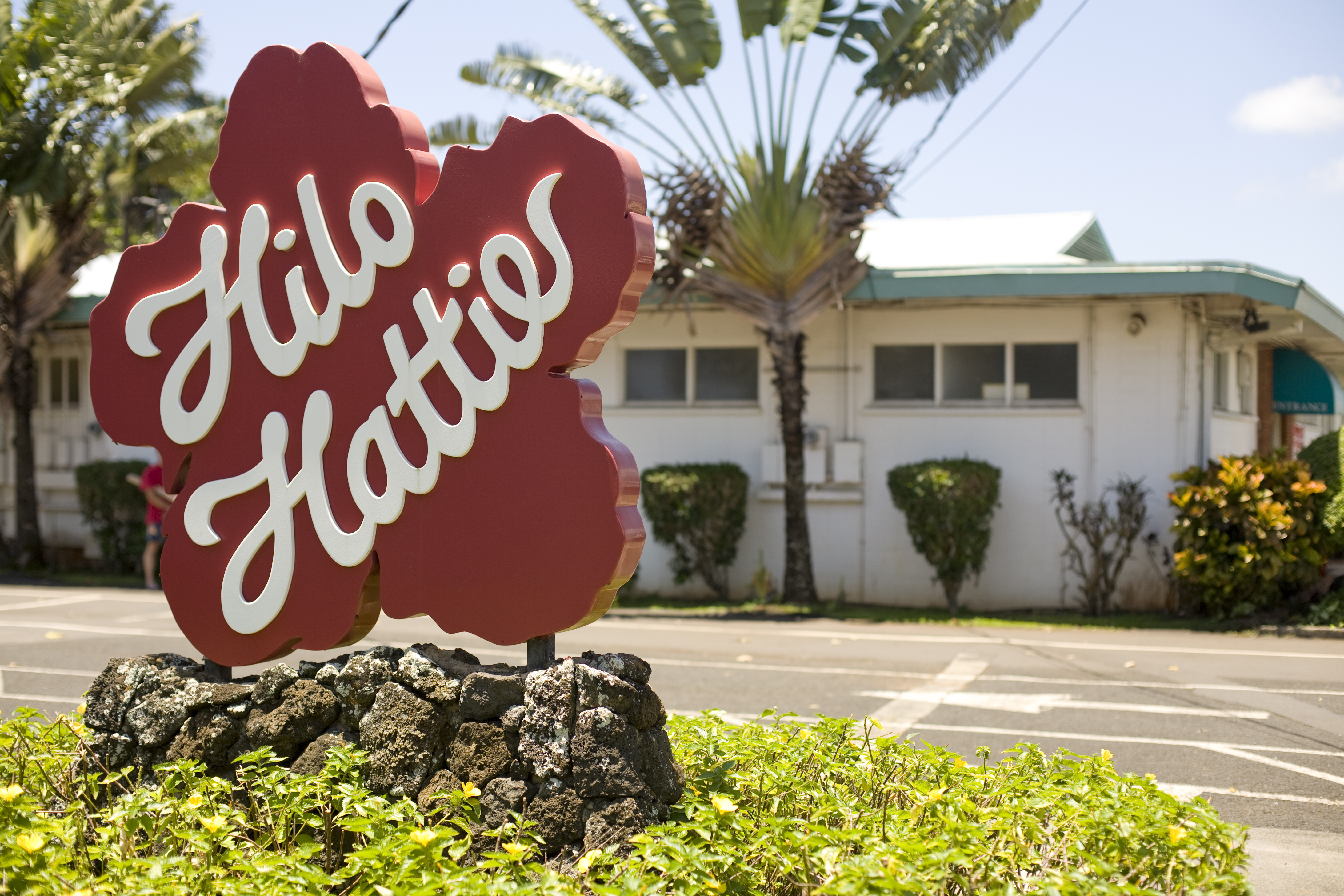 Estos son los mejores regalos y recuerdos hawaianos auténticos - 13