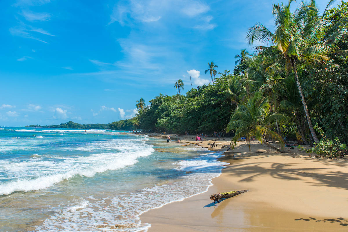 8 experiencias fabulosas a lo largo de la costa caribeña de Costa Rica - 15