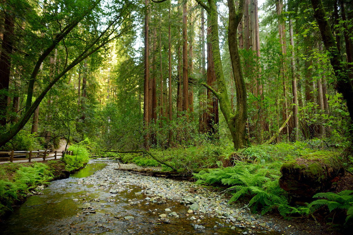 9 Parques Nacionales de EE. UU. Que requieren reservas en 2022 - 9