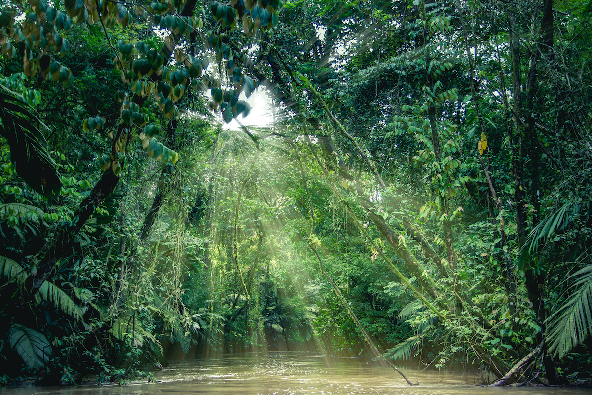 4 hermosos parques nacionales en Costa Rica para no perderse - 7