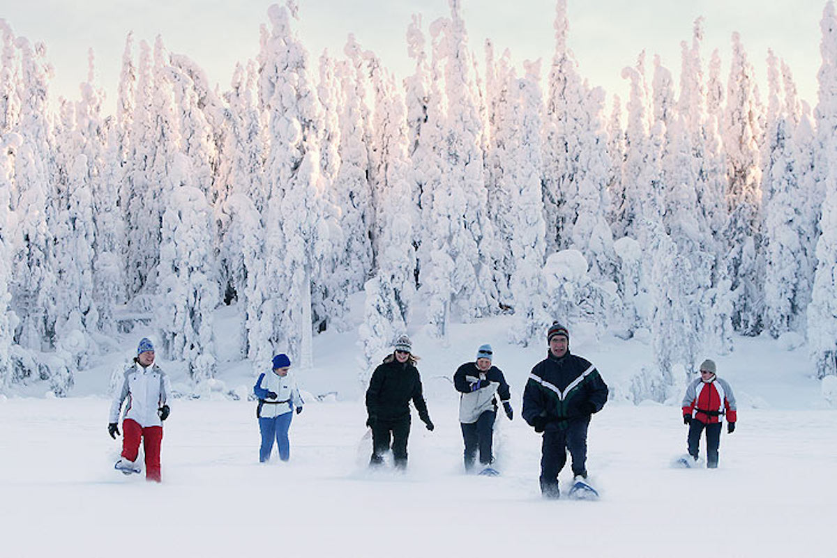 5 cosas fantásticas que hacer en la taiga salvaje de Finlandia - 7