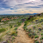 7 mejores lugares para experimentar el desierto de Sonora