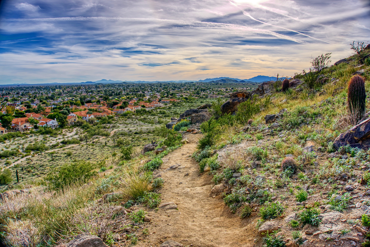 7 mejores lugares para experimentar el desierto de Sonora - 3