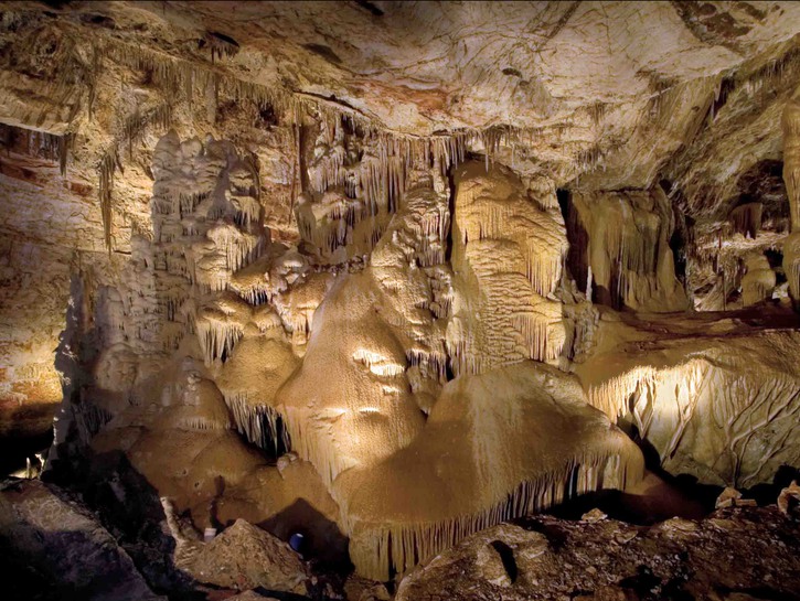 Viaje de día de Phoenix: Parque Estatal Kartchner Caverns - 3