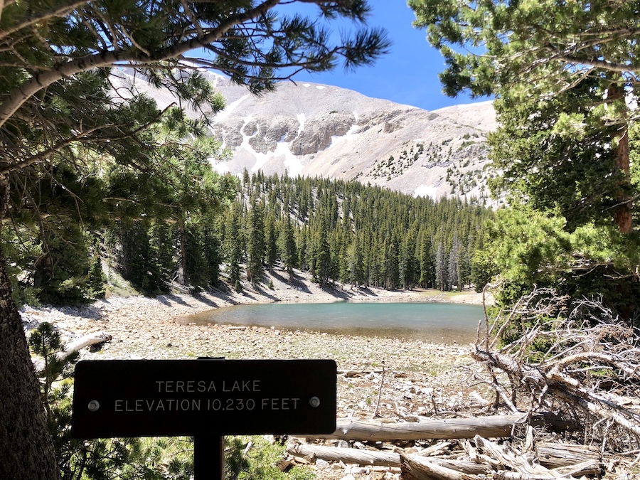 7 hermosas caminatas en el Parque Nacional Great Basin - 11