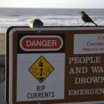 10 peligros en la playa que debes tener en cuenta