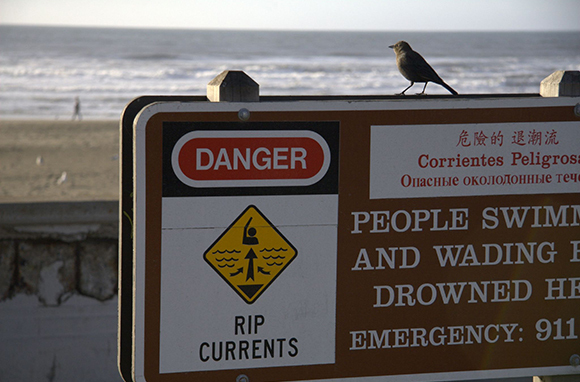10 peligros en la playa que debes tener en cuenta - 3