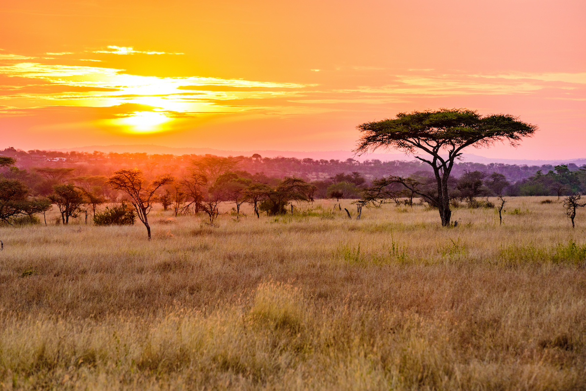 11 cosas que desearía haber sabido antes de mi safari africano - 7