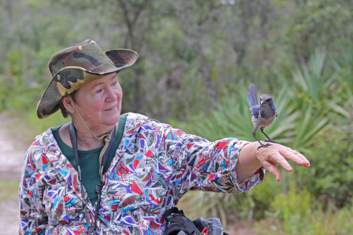 8 Experiencias increíbles en la isla Merritt de Florida para los amantes de la naturaleza - 15