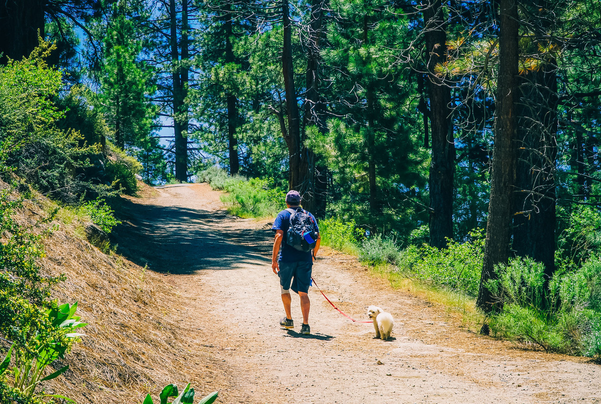 5 mejores caminatas amigables para mascotas en California - 9