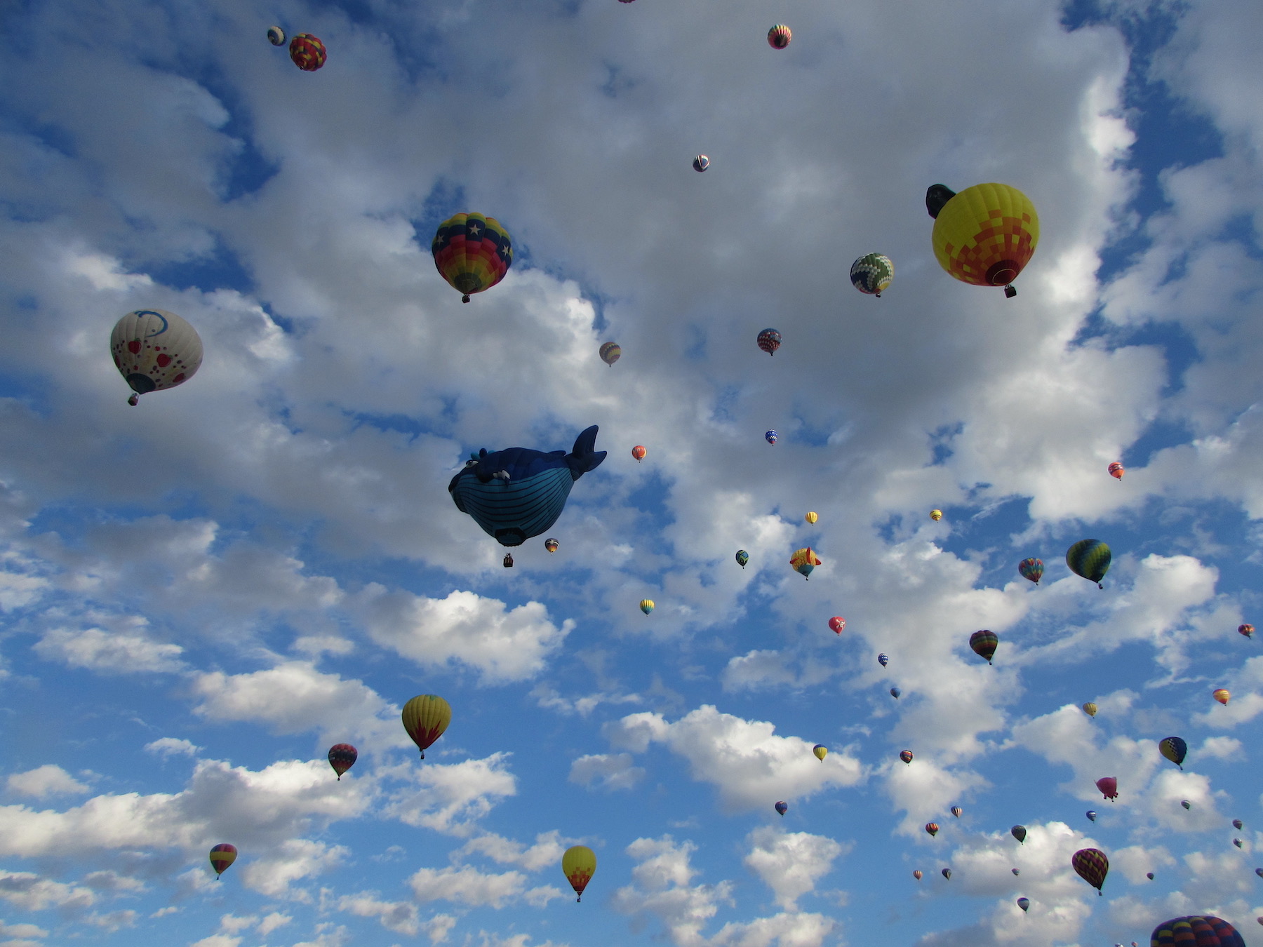 Albuquerque International Balloon Fiesta: 9 consejos para una experiencia fantástica - 11