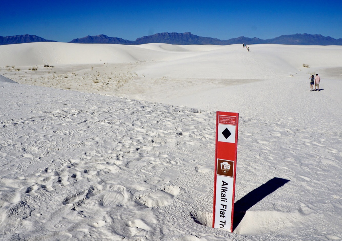 7 cosas que debe saber sobre el Parque Nacional White Sands - 7