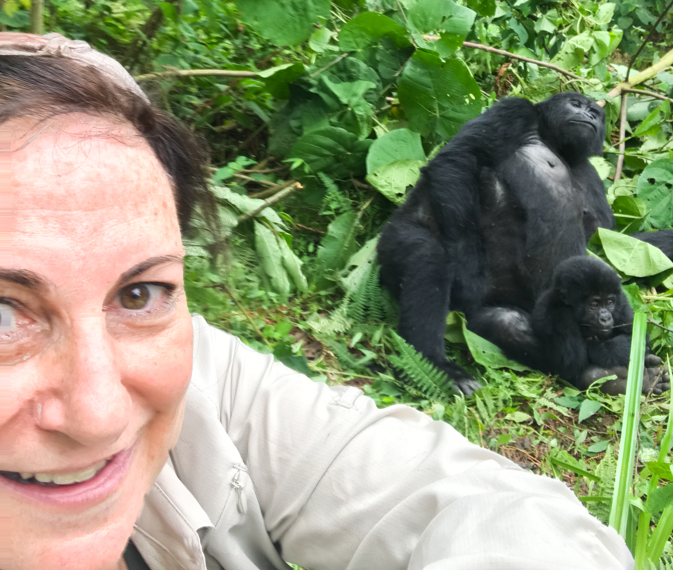 Finalmente fui a caminar por gorila en Uganda y valió la pena la espera - 11