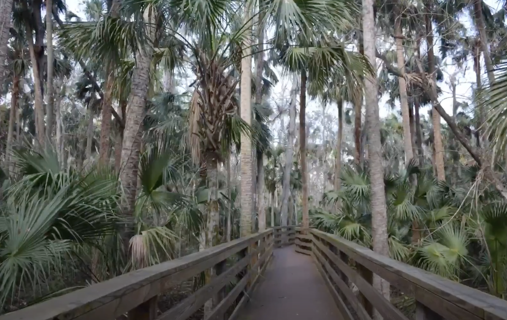 9 mejores caminatas en la hermosa Florida - 15