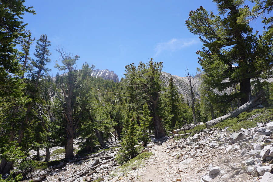 7 hermosas caminatas en el Parque Nacional Great Basin - 13