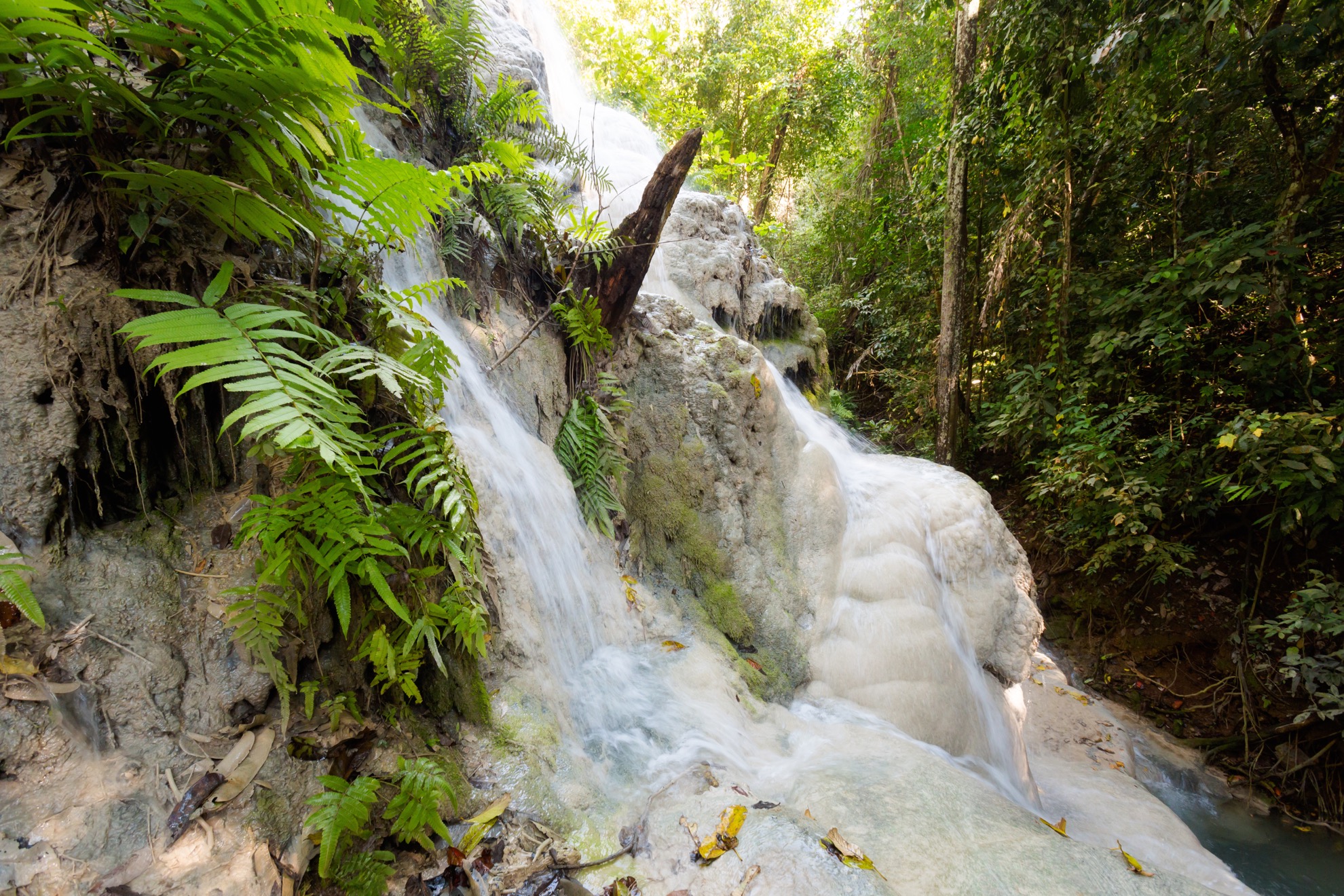 Sube por las increíbles cascadas pegajosas de Tailandia en Chiang Mai - 13