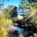 8 mejores caminatas para experimentar en Carolina del Sur