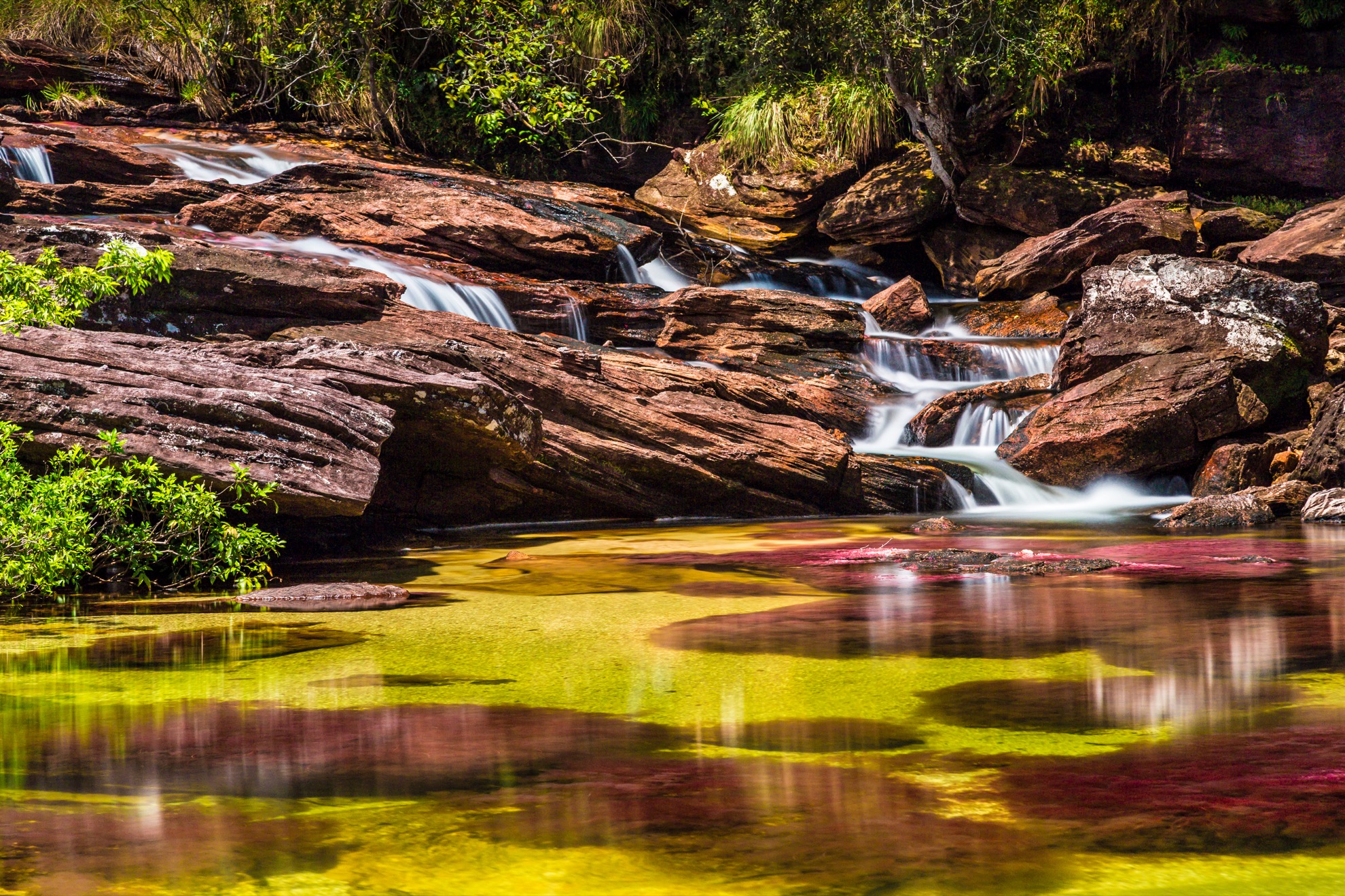 El "arco iris líquido" de Colombia pone en una impresionante exhibición natural - 13